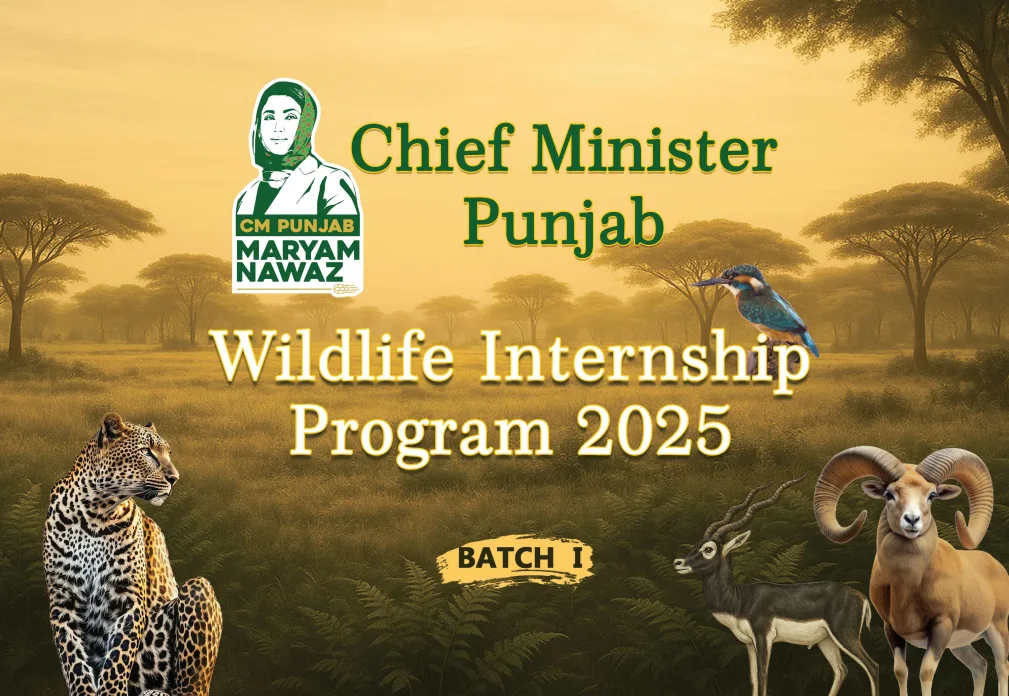 Wildlife Internship Program 2025